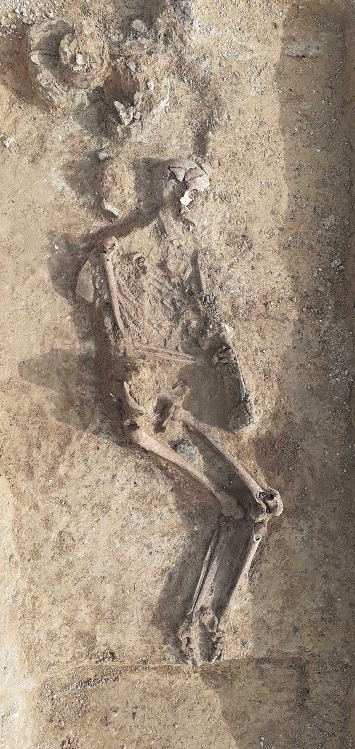 skelet i grav